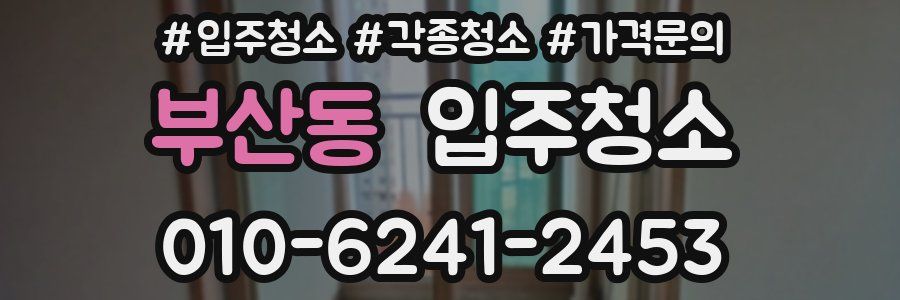 부산동 이사청소