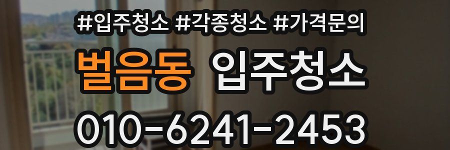 벌음동 이사청소