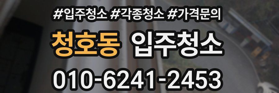 청호동 이사청소