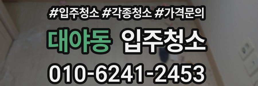 대야동 이사청소