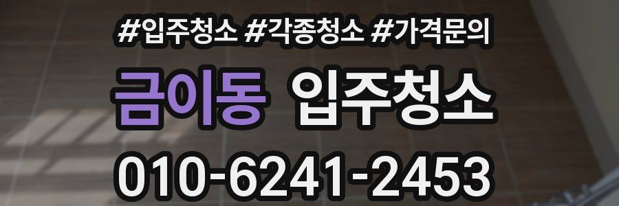 금이동 이사청소