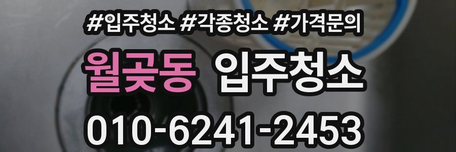 월곶동 이사청소