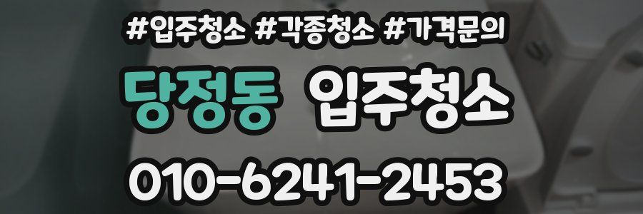 당정동 이사청소