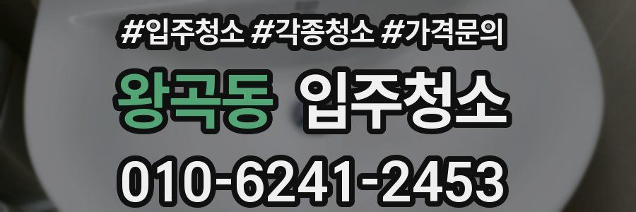 왕곡동 이사청소