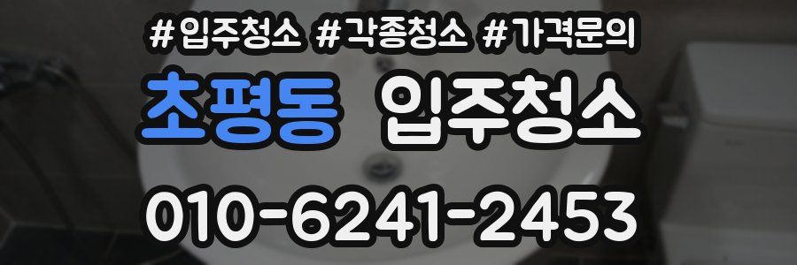 초평동 이사청소