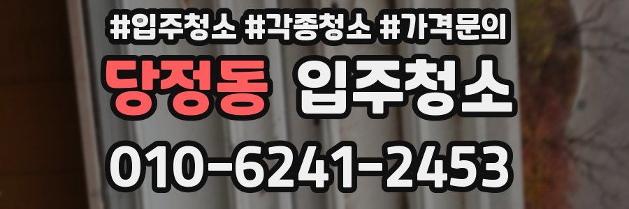 당정동 이사청소