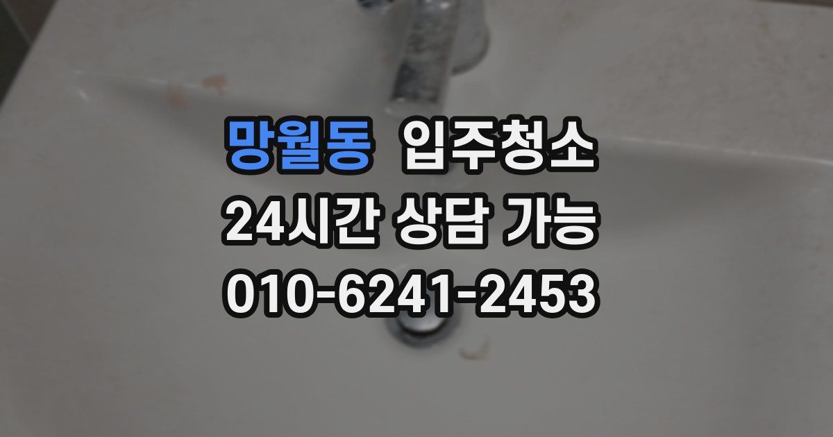 망월동 입주청소