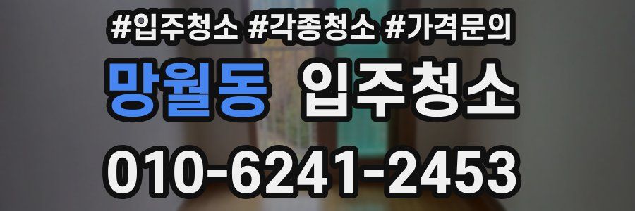 망월동 이사청소