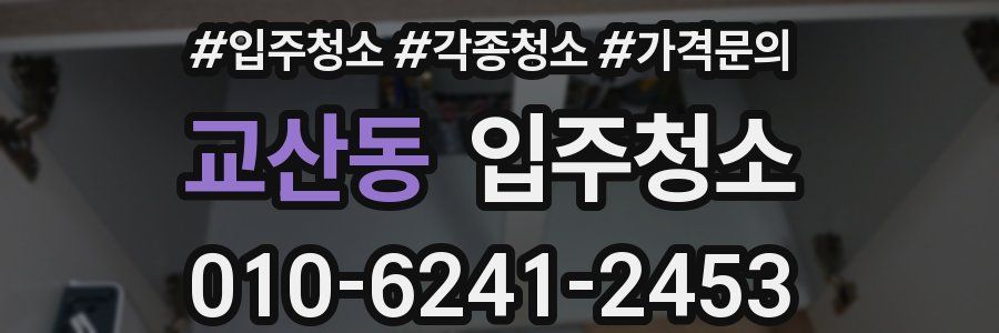 교산동 이사청소