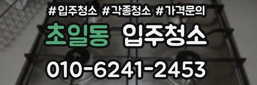 초일동 이사청소