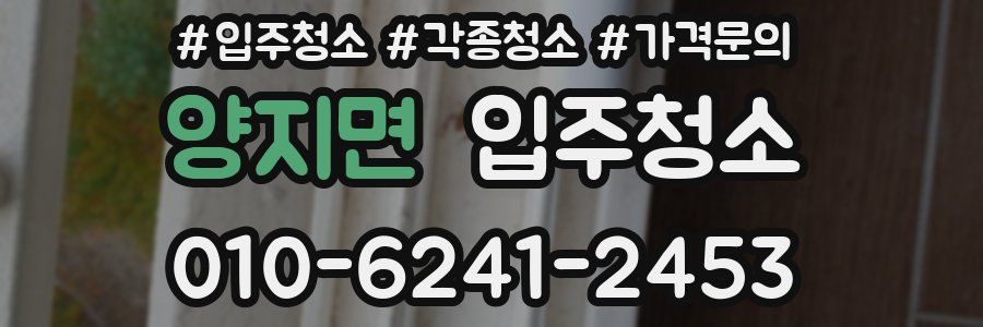 양지면 이사청소