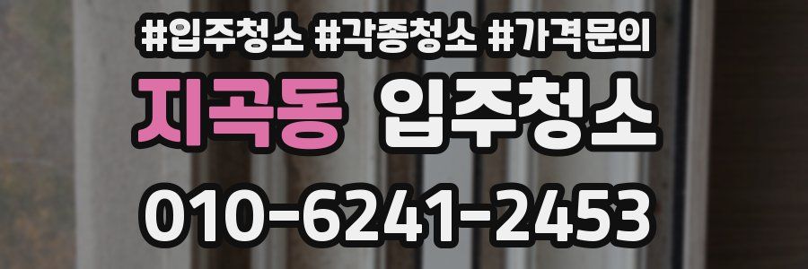 지곡동 이사청소