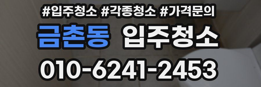 금촌동 이사청소