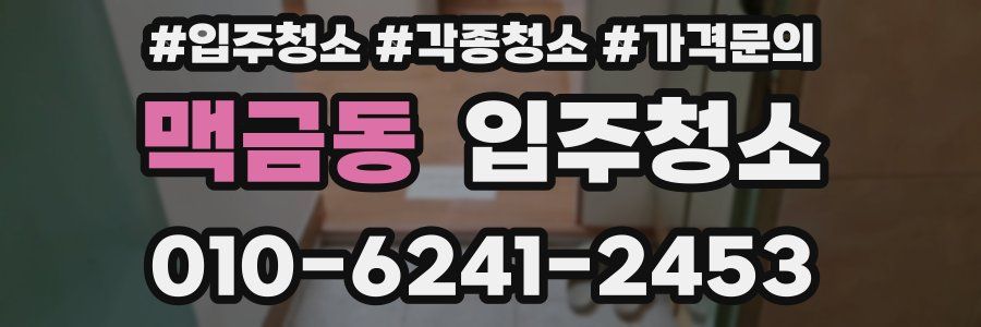 맥금동 이사청소