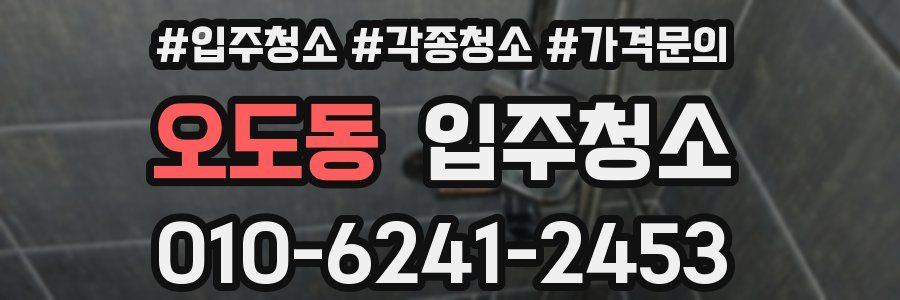 오도동 이사청소