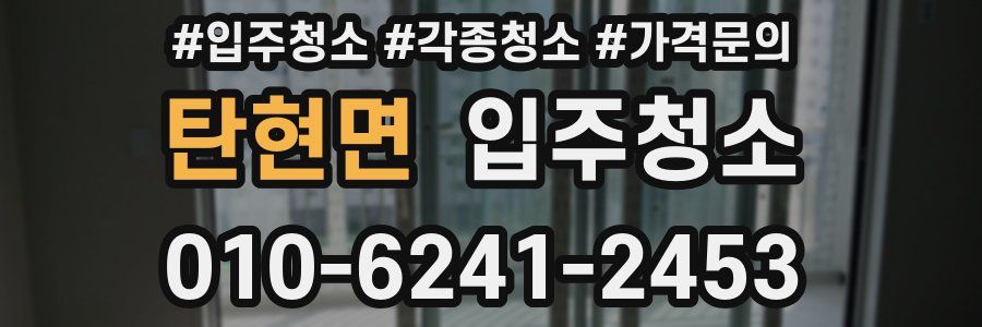 탄현면 이사청소