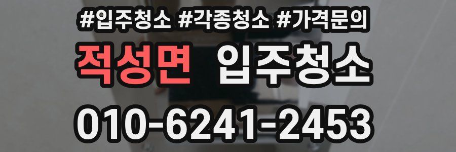 적성면 이사청소