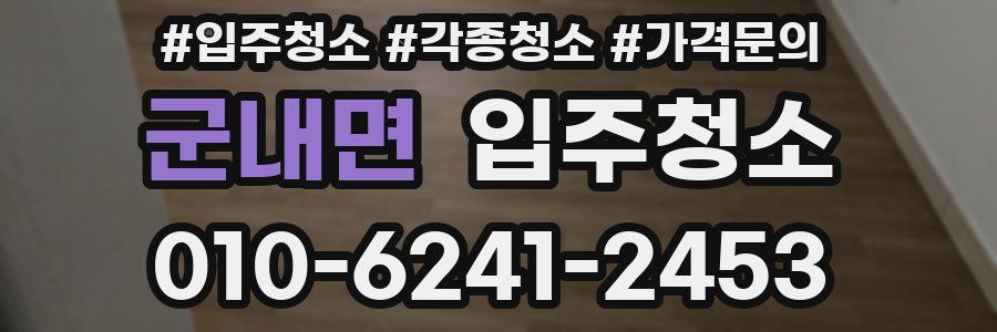 군내면 이사청소