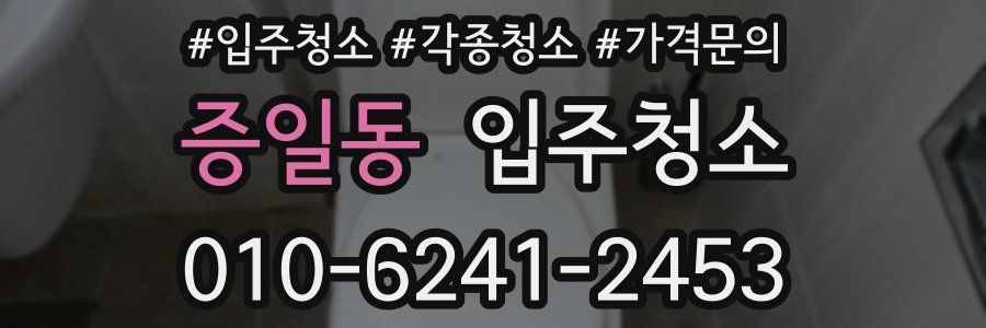 증일동 이사청소