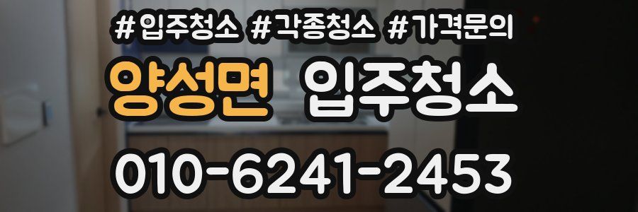 양성면 이사청소