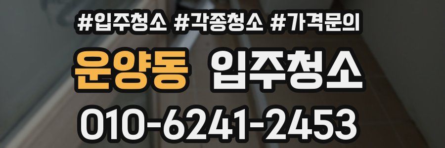 운양동 이사청소