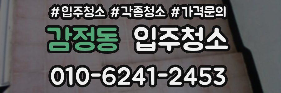 감정동 이사청소