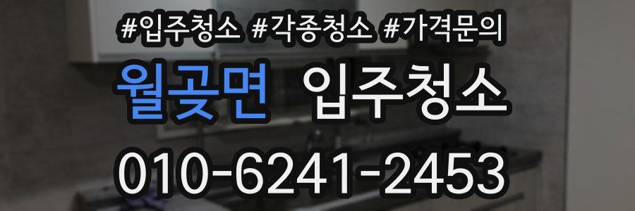 월곶면 이사청소