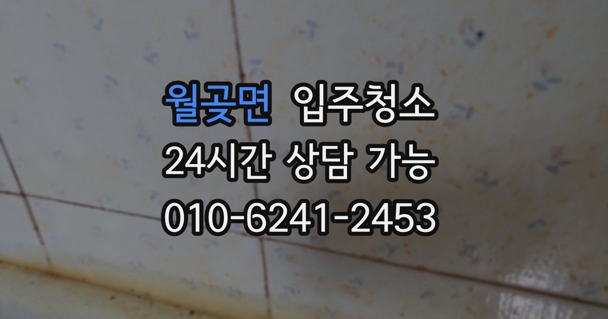 월곶면 입주청소