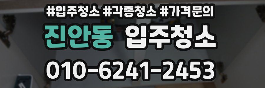 진안동 이사청소