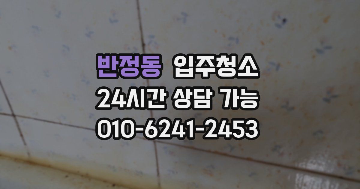 반정동 입주청소