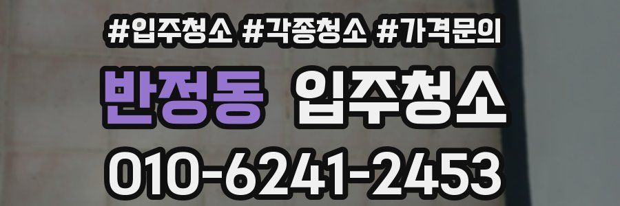 반정동 이사청소