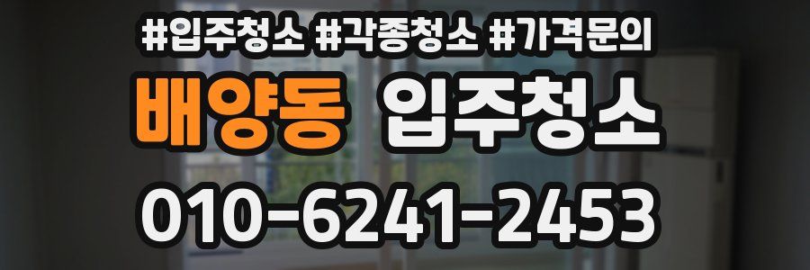 배양동 이사청소