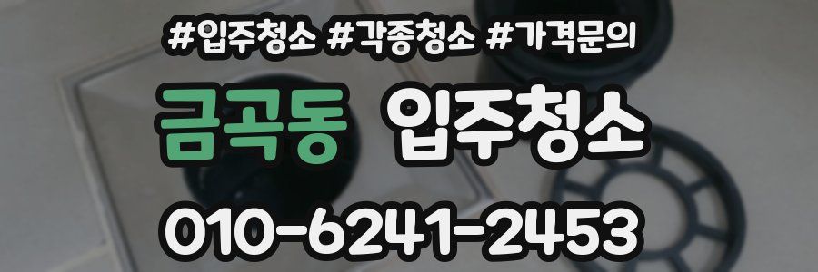 금곡동 이사청소