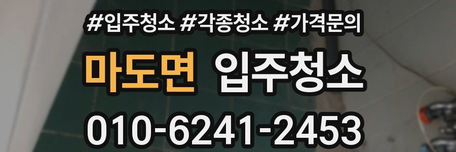 마도면 이사청소