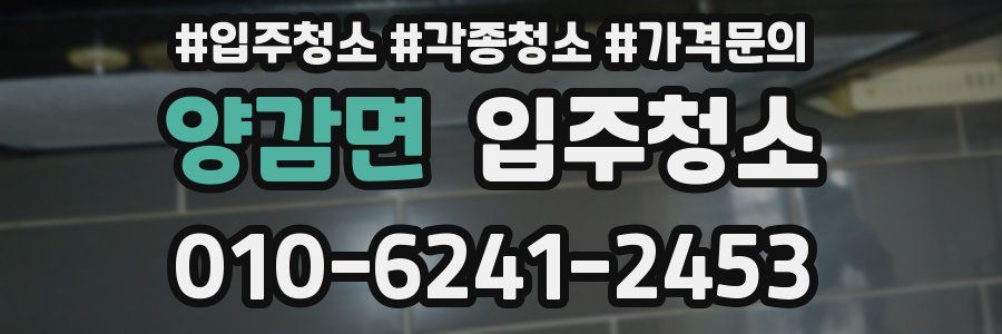 양감면 이사청소