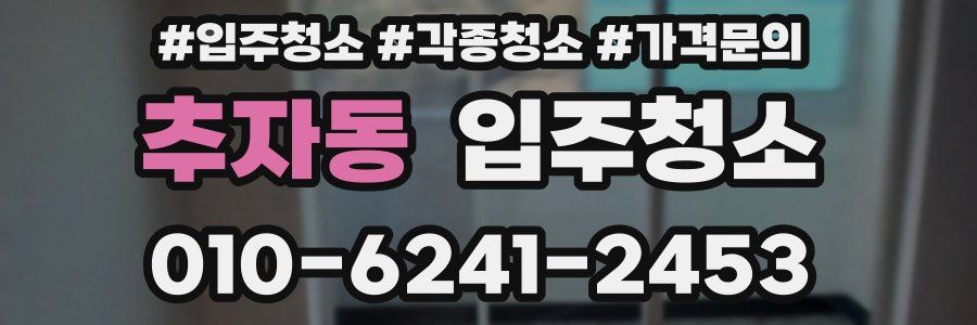 추자동 이사청소