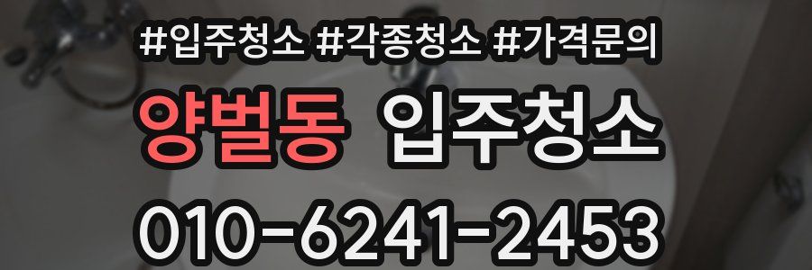 양벌동 이사청소