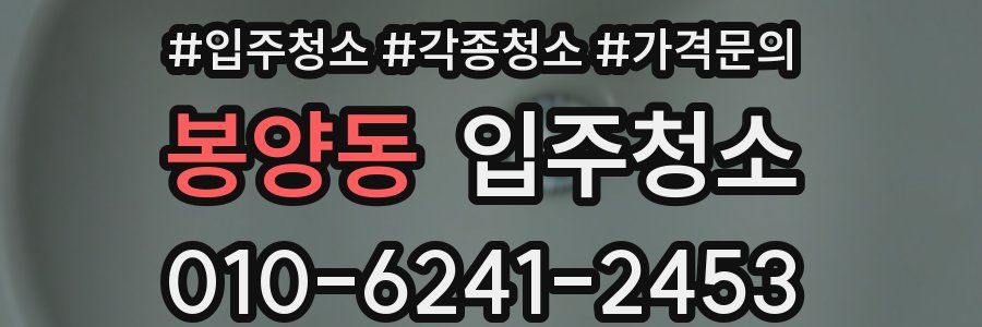 봉양동 이사청소