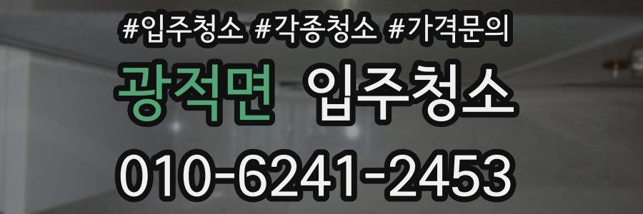 광적면 이사청소