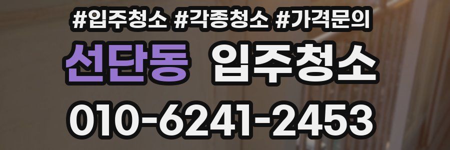 선단동 이사청소