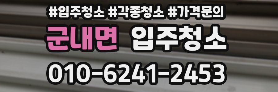 군내면 이사청소