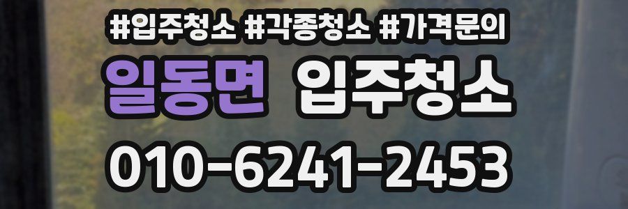 일동면 이사청소