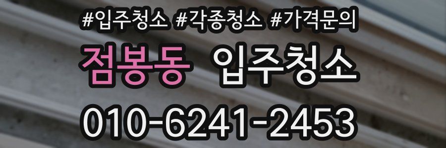 점봉동 이사청소