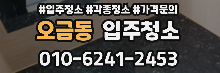 오금동 이사청소
