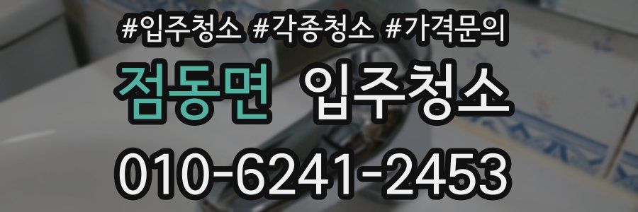 점동면 이사청소