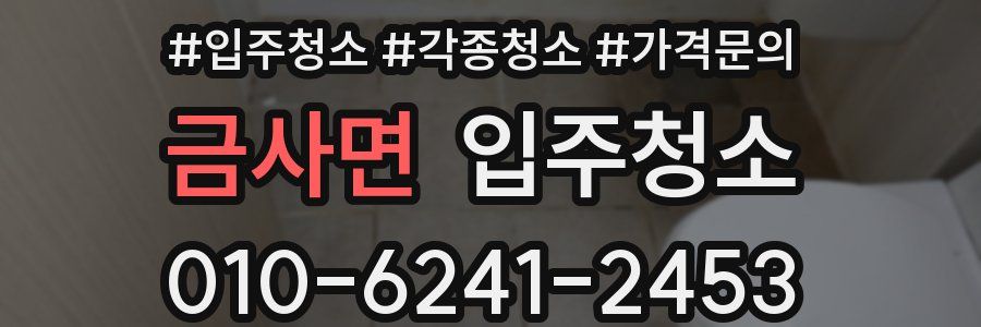 금사면 이사청소