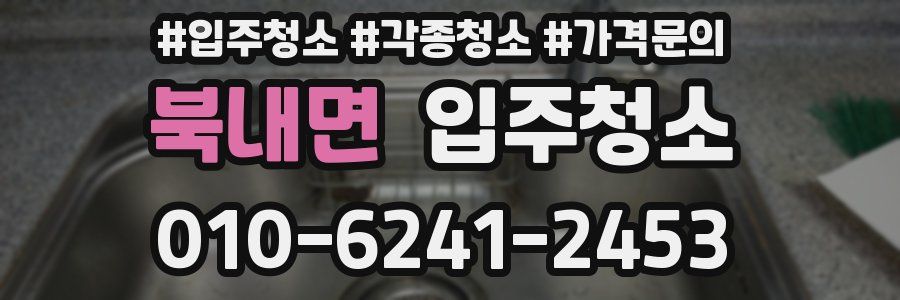 북내면 이사청소