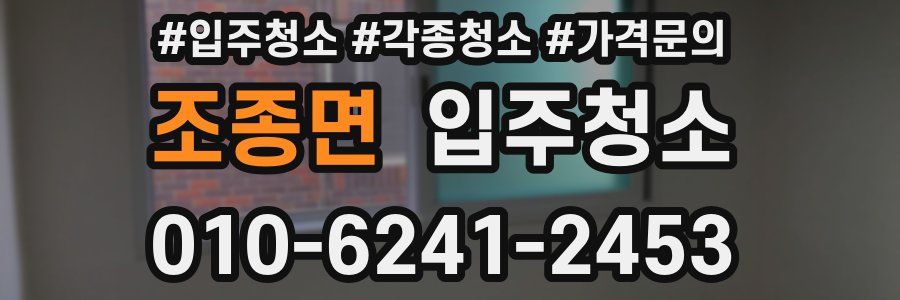 조종면 이사청소