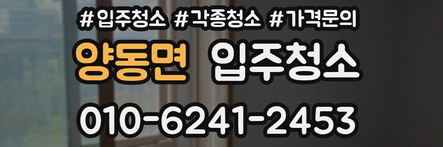 양동면 이사청소