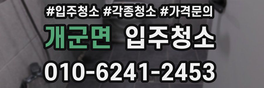 개군면 이사청소